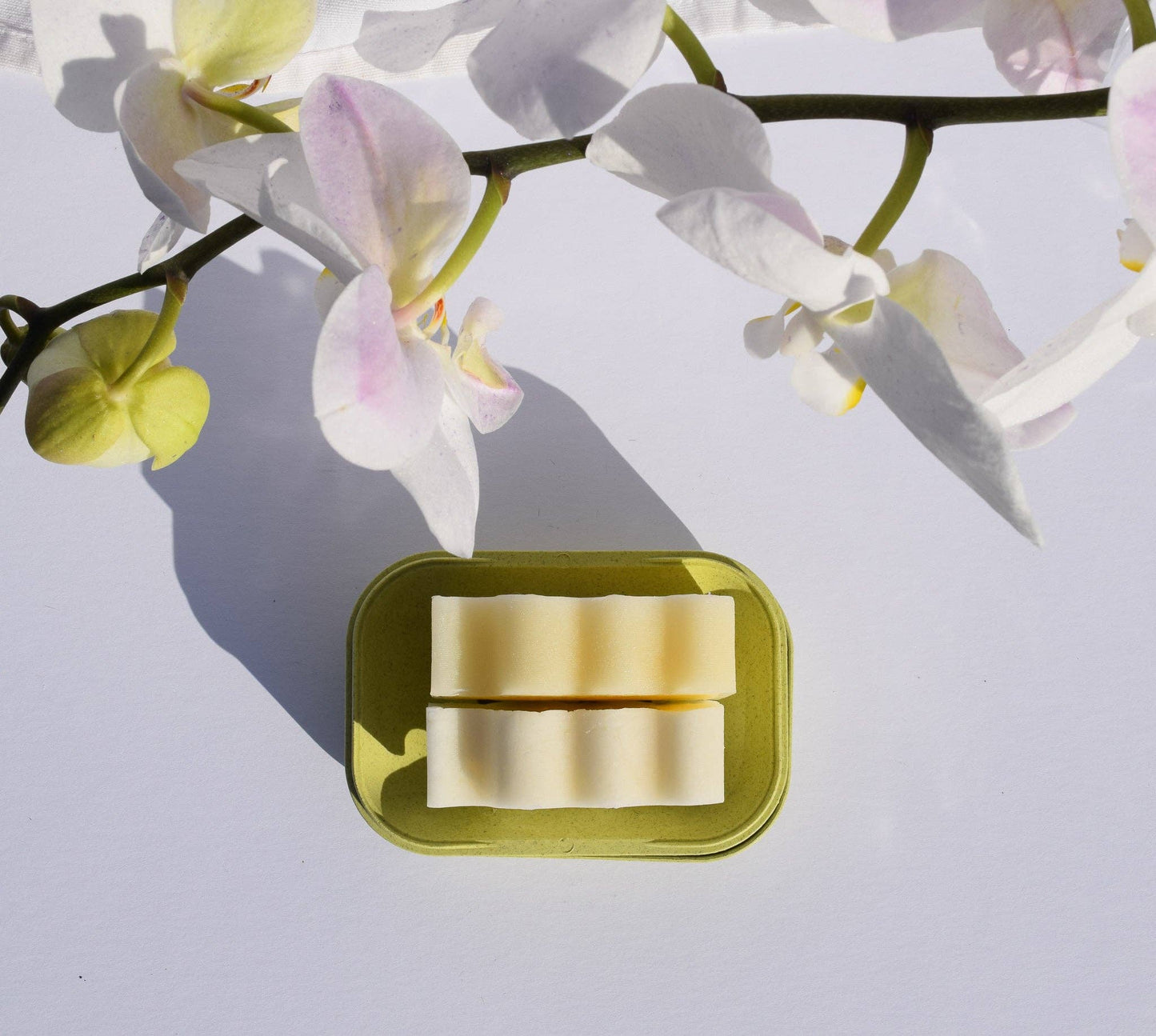 Biodegradable Soap Case