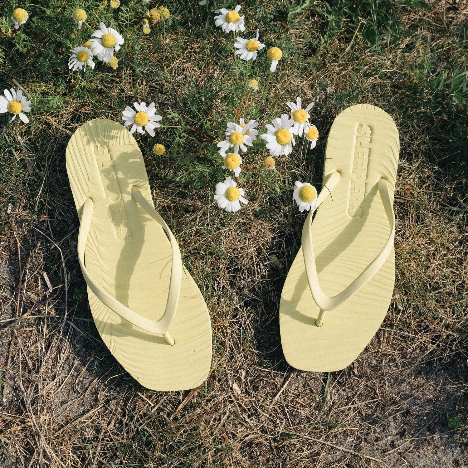 Sleepers
