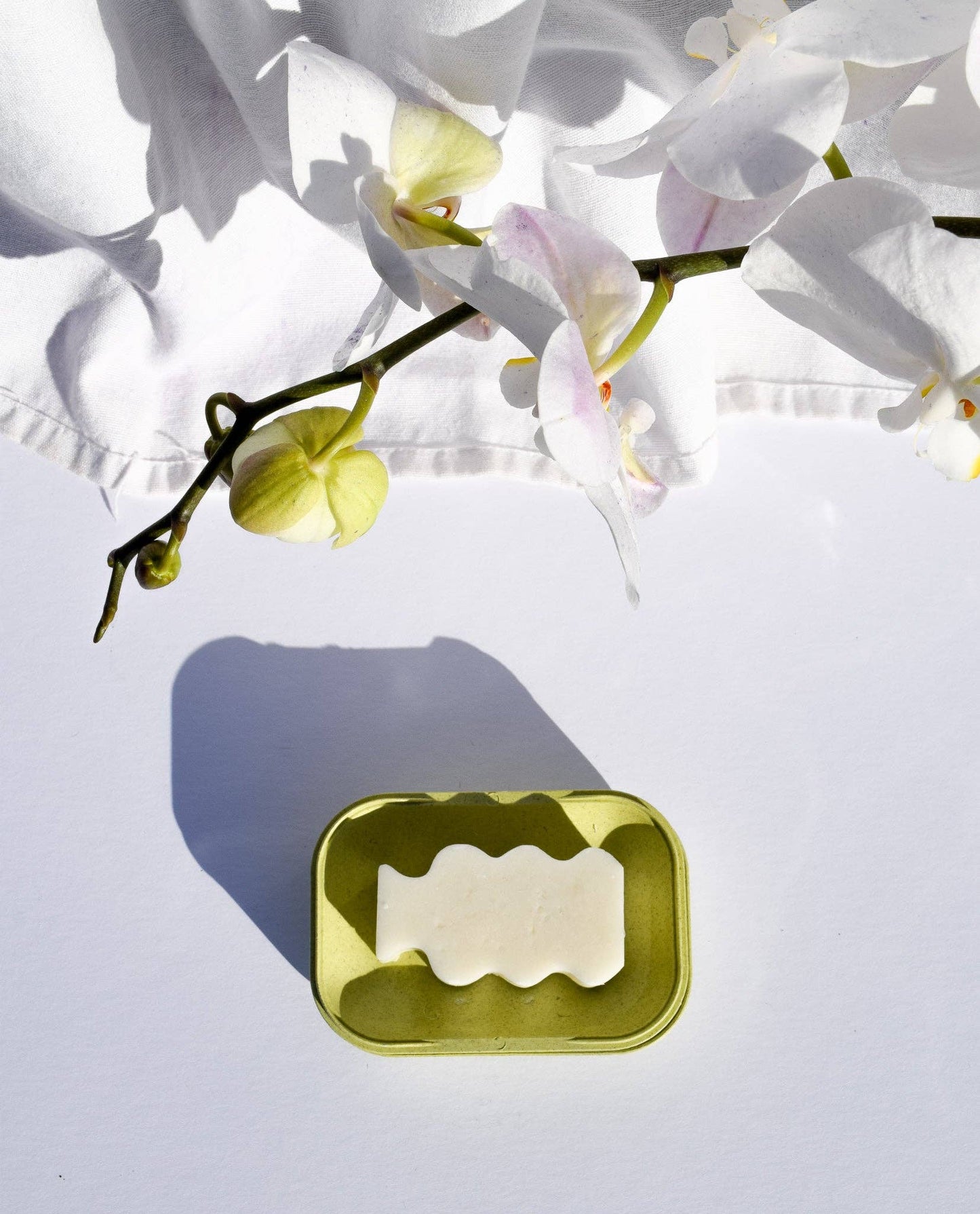 Biodegradable Soap Case