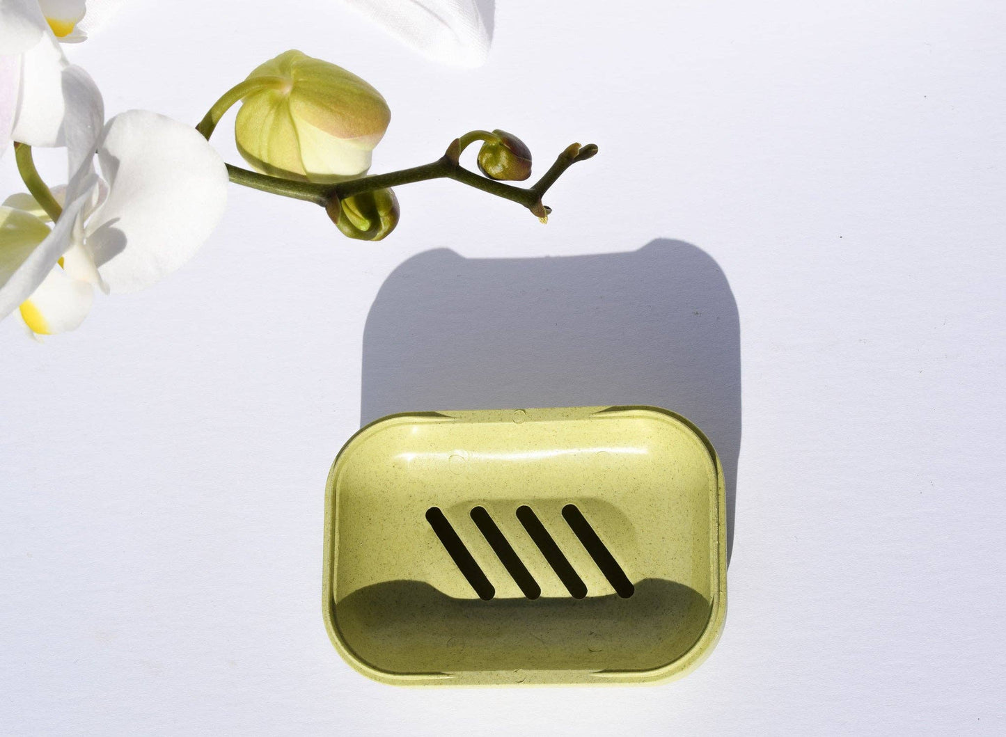 Biodegradable Soap Case