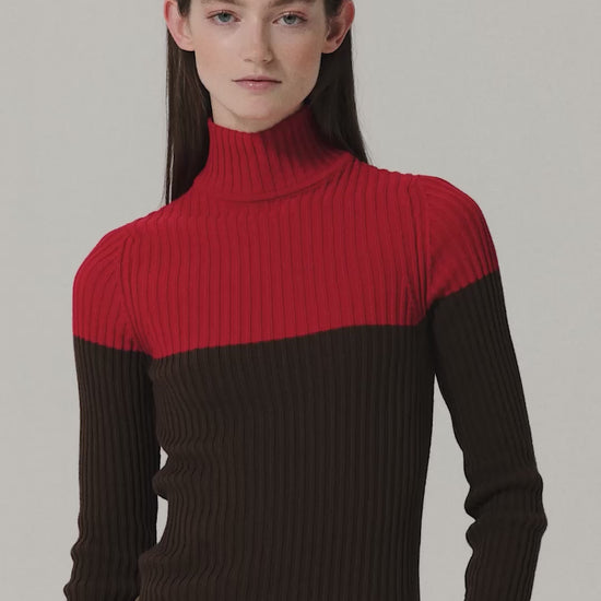 Color block cotton turtleneck jumper