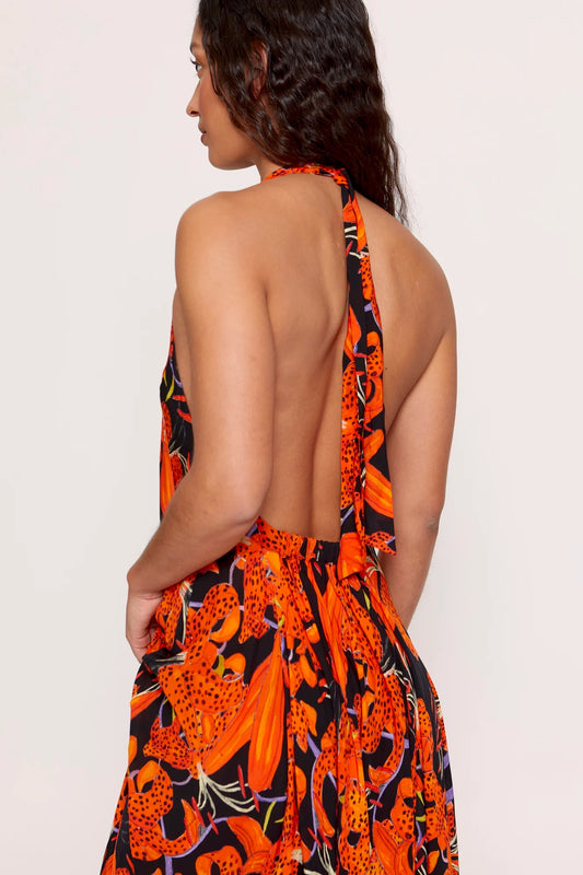 Sia Dress