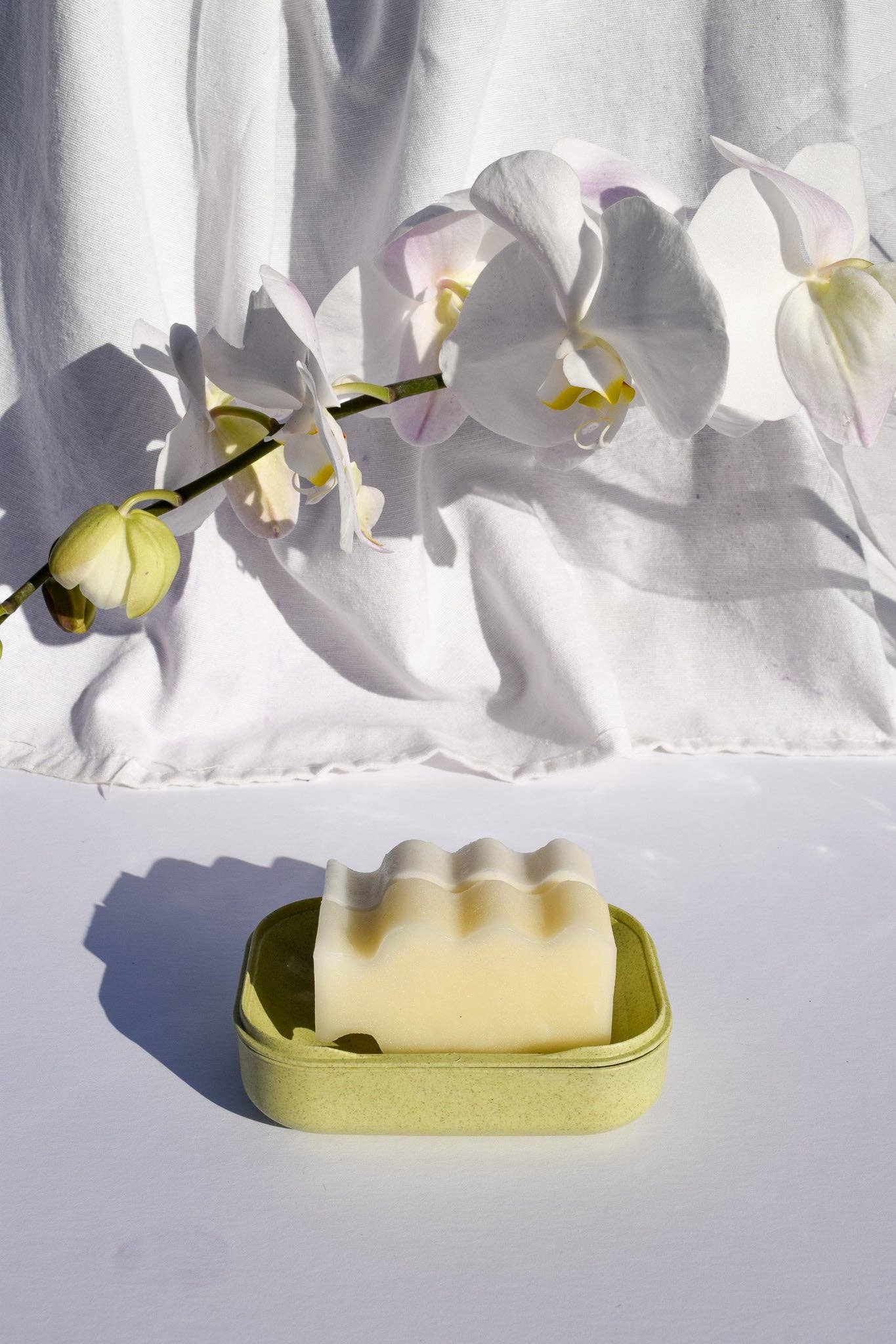 Biodegradable Soap Case